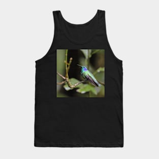 Green Violetear Hummingbird Tank Top